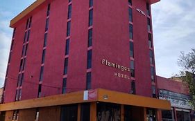 Hotel Flamingos